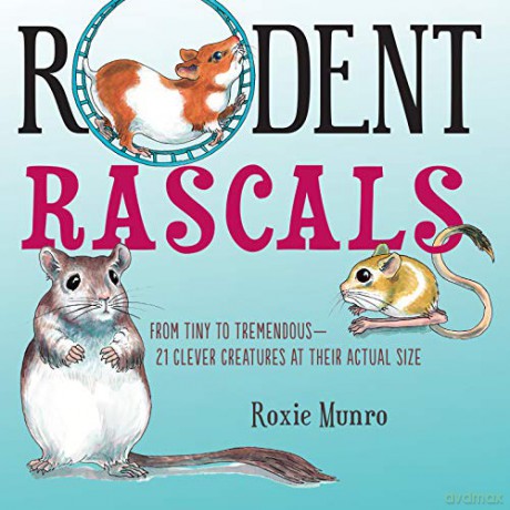 Rodent Rascals - Roxie Munro [KSIĄŻKA]