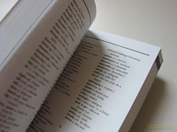 Romanian-English Dictionary Phrasebook - Mihai Miroiu [KSIĄŻKA]