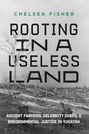 Rooting In A Useless Land - Chelsea Fisher [KSIĄŻKA]