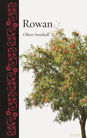 Rowan - Oliver Southall [KSIĄŻKA]