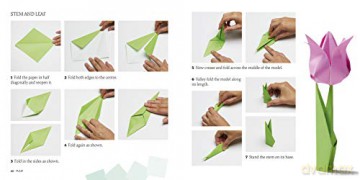 Royal Botanic Gardens Kew Origami Flower - Cilmi [KSIĄŻKA]