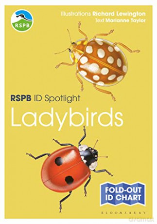 Rspb Id Spotlight Ladybirds - Taylor Marianne [KSIĄŻKA]