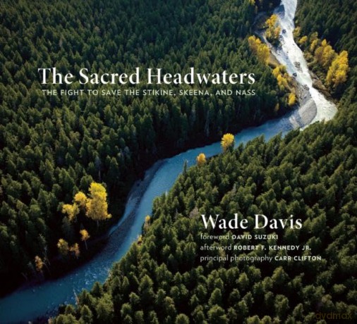 Sacred Headwaters - Davis Wade [KSIĄŻKA]