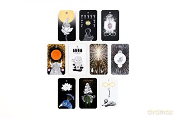 Sacred Web Tarot Hb - Brown Jannie [KSIĄŻKA]