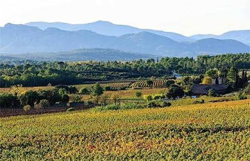 Saga Of Provence Great Ros S - Parguet Francoise [KSIĄŻKA]