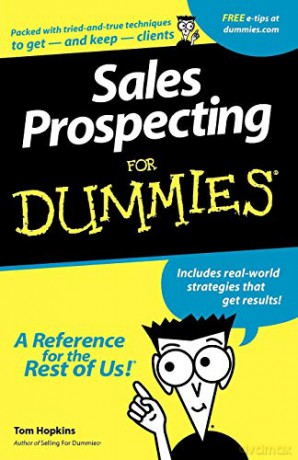 Sales Prospecting For Dummies - Hopkins [KSIĄŻKA]