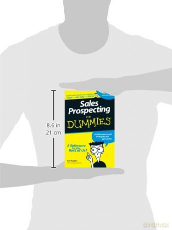 Sales Prospecting For Dummies - Hopkins [KSIĄŻKA]