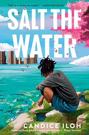 Salt The Water - Candice Iloh [KSIĄŻKA]