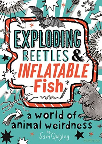 Sam Quigleys Exploding Beetles A - Tracey Turner [KSIĄŻKA]