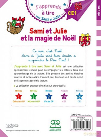 Sami Et Julie Et La Magie De Noel - Emmanuell Massonaud [KSIĄŻKA]