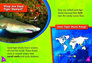 Sand Tiger Sharks - Thomas Adamson [KSIĄŻKA]