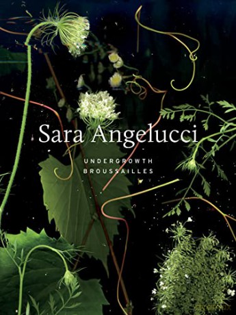 Sara Angelucci Undergrowth Brousailles - Sara Angelucci [KSIĄŻKA]