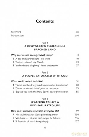 Saturated With God A Cry For Nation Cha [KSIĄŻKA]