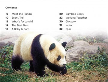 Save The Pandas Level 1 [KSIĄŻKA]