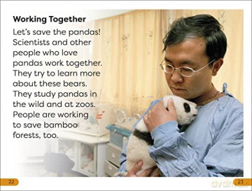 Save The Pandas Level 1 [KSIĄŻKA]
