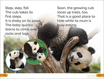 Save The Pandas Level 1 [KSIĄŻKA]