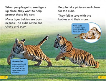 Save The Tigers Level 2 [KSIĄŻKA]