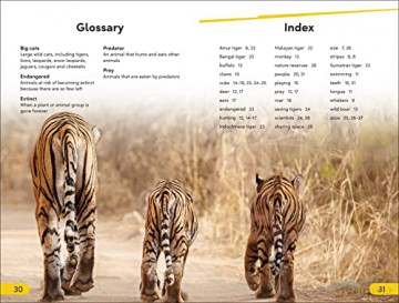 Save The Tigers Level 2 [KSIĄŻKA]