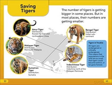 Save The Tigers Level 2 [KSIĄŻKA]