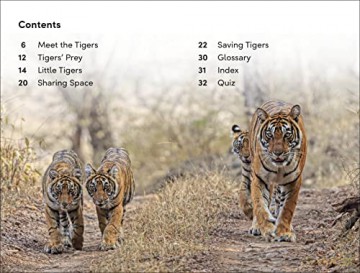 Save The Tigers Level 2 [KSIĄŻKA]