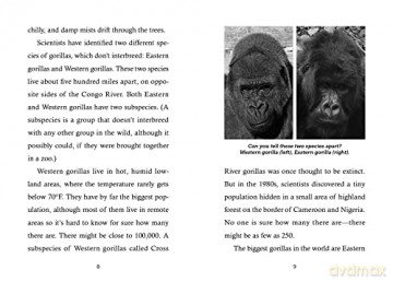 Save Thegorillas - Anita Sanchez [KSIĄŻKA]