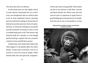 Save Thegorillas - Anita Sanchez [KSIĄŻKA]