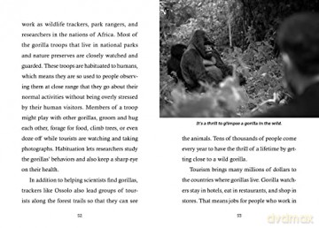 Save Thegorillas - Anita Sanchez [KSIĄŻKA]