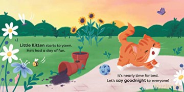Say Goodnight Little Kitten - Ladybird [KSIĄŻKA]