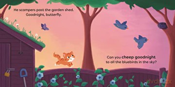 Say Goodnight Little Kitten - Ladybird [KSIĄŻKA]