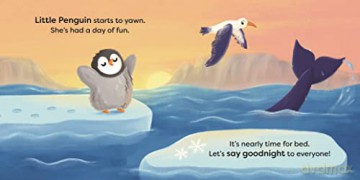 Say Goodnight Little Penguin - Ladybird [KSIĄŻKA]