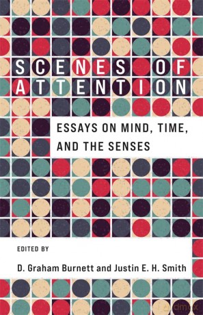 Scenes Of Attention - D Graham(Ed Burnett [KSIĄŻKA]