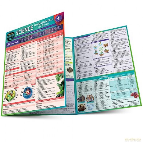 Science Fundamentals 1 Cells Plants Anim - Barcharts Inc. [KSIĄŻKA]