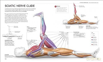 Science Of Stretch - Leada Malek-Salehi [KSIĄŻKA]