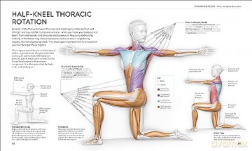 Science Of Stretch - Leada Malek-Salehi [KSIĄŻKA]