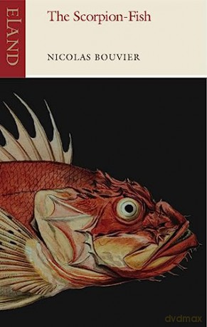 Scorpion Fish The - Nicholas Bouvier [KSIĄŻKA]