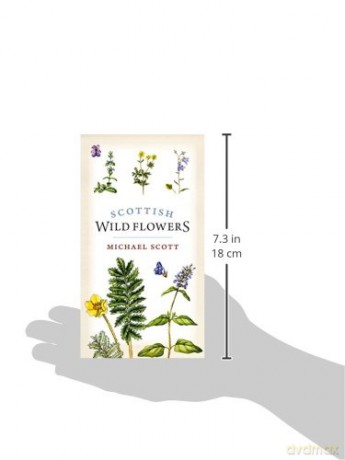 Scottish Wild Flowers - Michael Scott [KSIĄŻKA]