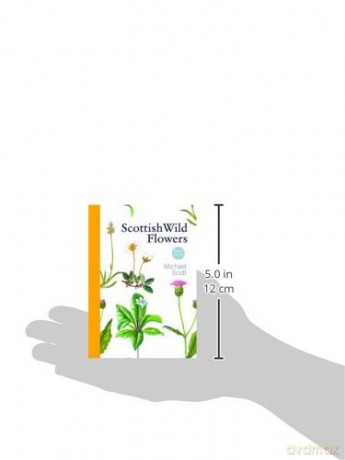 Scottish Wild Flowers - Michael Scott [KSIĄŻKA]