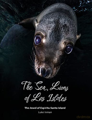 Sea Lions Of Los Islotes - Luke Inman [KSIĄŻKA]