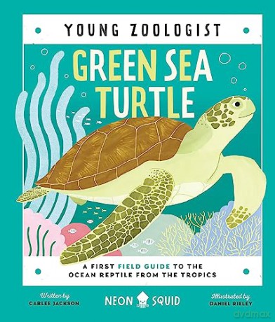 Sea Turtle Young Zoologist - Carlee Jackson [KSIĄŻKA]