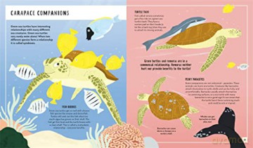 Sea Turtle Young Zoologist - Carlee Jackson [KSIĄŻKA]