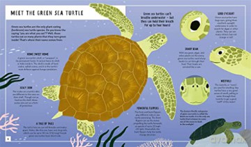 Sea Turtle Young Zoologist - Carlee Jackson [KSIĄŻKA]