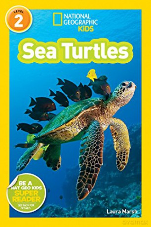 Sea Turtles - Laura Marsh [KSIĄŻKA]