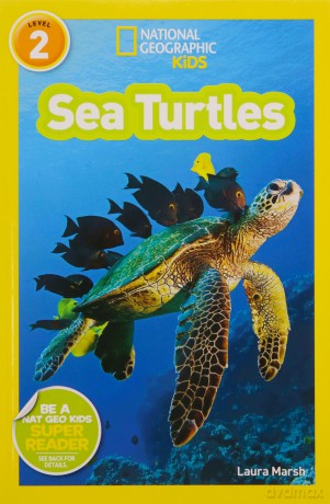 Sea Turtles - Laura Marsh [KSIĄŻKA]