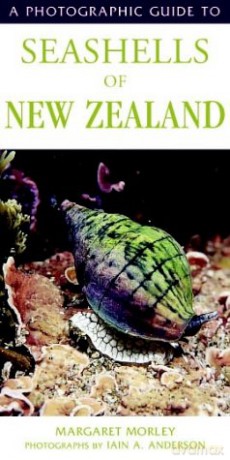 Seashells Of New Zealand - Margaret Morley [KSIĄŻKA]