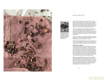 Seasonal Plant Dyes - Alicia Hall [KSIĄŻKA]