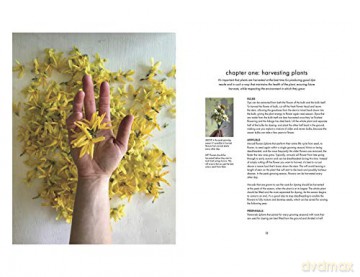 Seasonal Plant Dyes - Alicia Hall [KSIĄŻKA]
