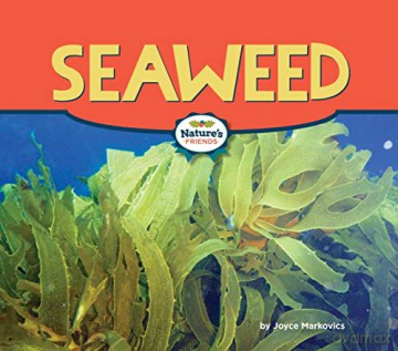 Seaweed - Joyce Markovics [KSIĄŻKA]