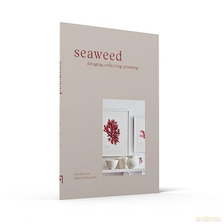 Seaweed - Melanie Molesworth [KSIĄŻKA]