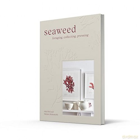Seaweed - Melanie Molesworth [KSIĄŻKA]