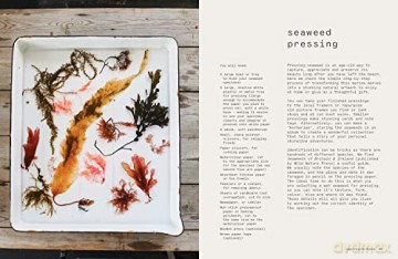 Seaweed - Melanie Molesworth [KSIĄŻKA]